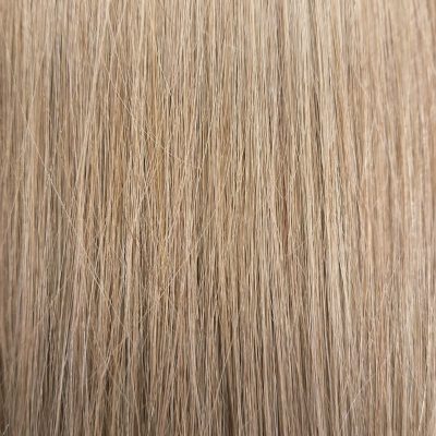 Weave #27 | Warmblond