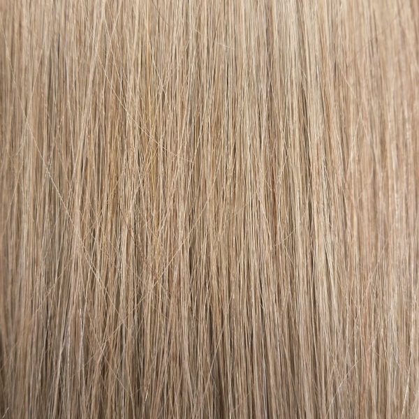 Tape #27 | Warmblond